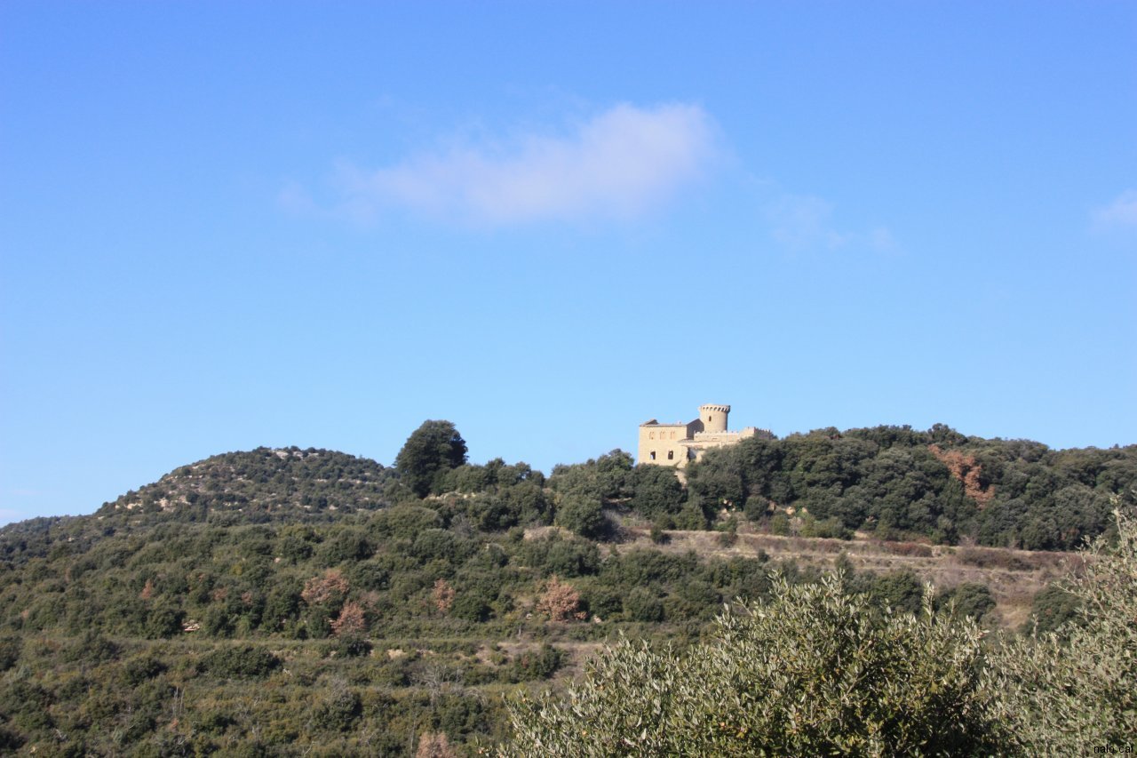 Vista del castell del Clascar