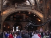 Natural History Museum