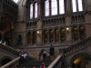 Natural History Museum