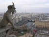 Gàrgola i vista de París