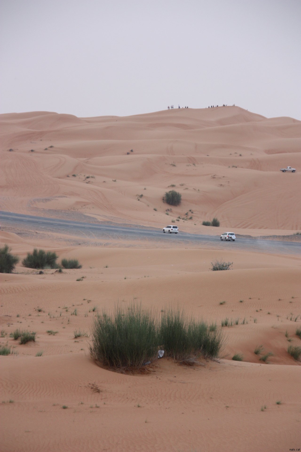 Carretera al mig del desert
