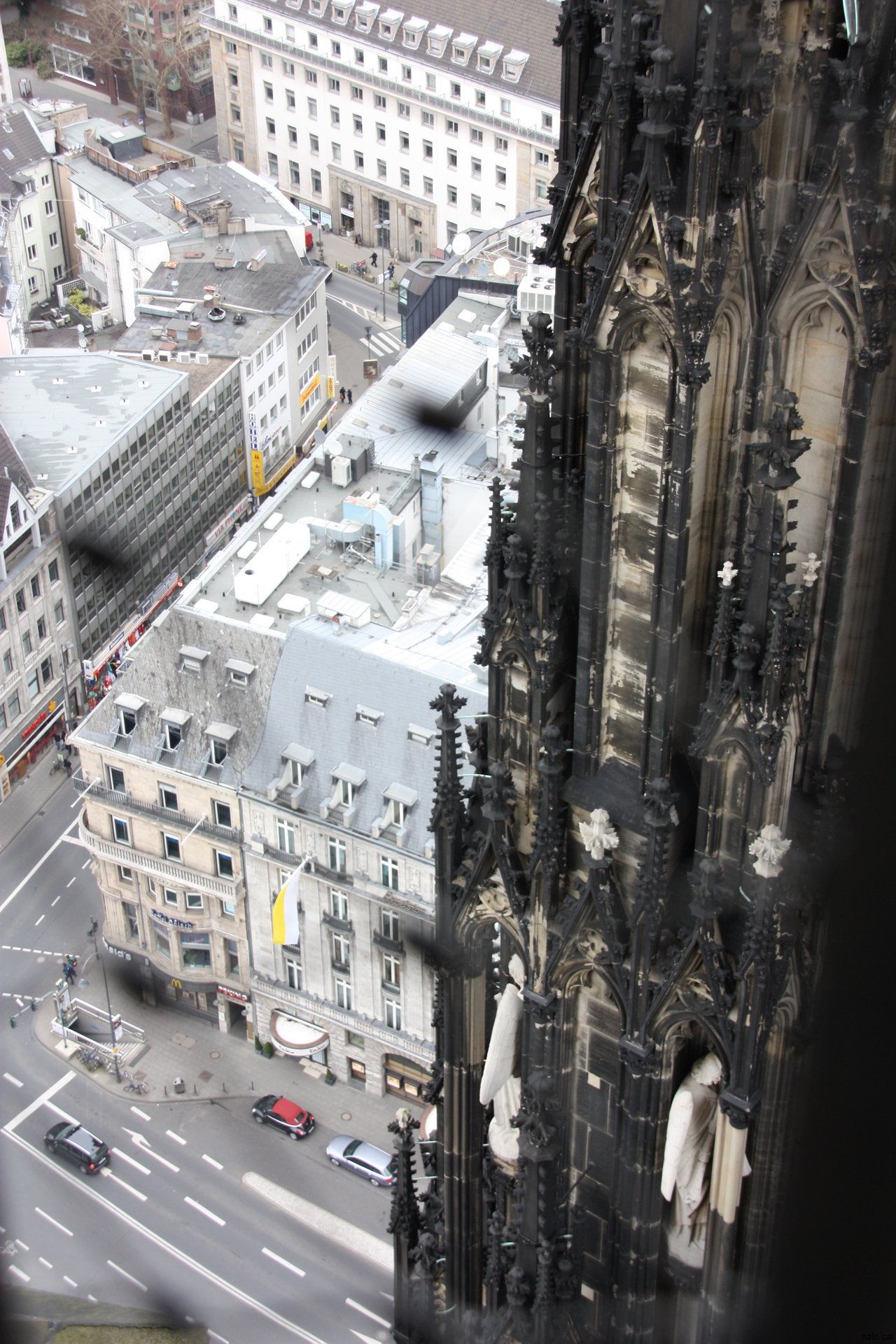 Des de dalt la catedral de Colonia