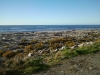 Platja