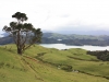 Coromandel