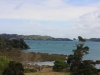 Coromandel