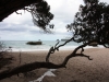 Cathedral Cove