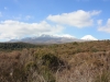 Tongariro