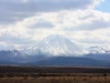 Tongariro