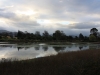 Motueka