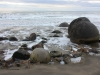 Moeraki Boulders