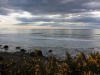 Moeraki Boulders