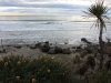 Moeraki Boulders