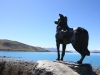 Lake Tekapo