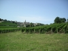 Vinyes Saint Emilion